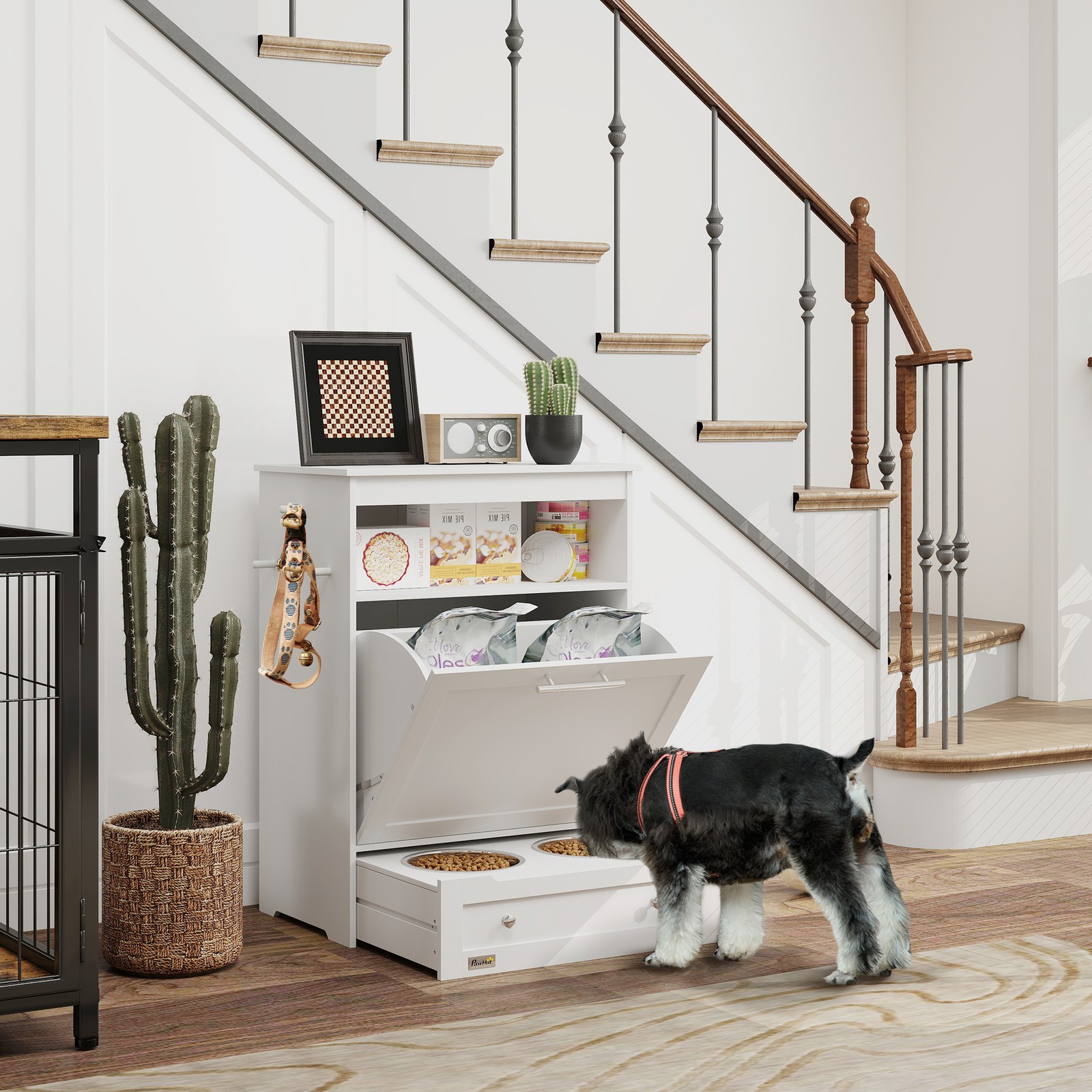 Pet Feeder Station, Dog and Ca - Food Storage Is review and price